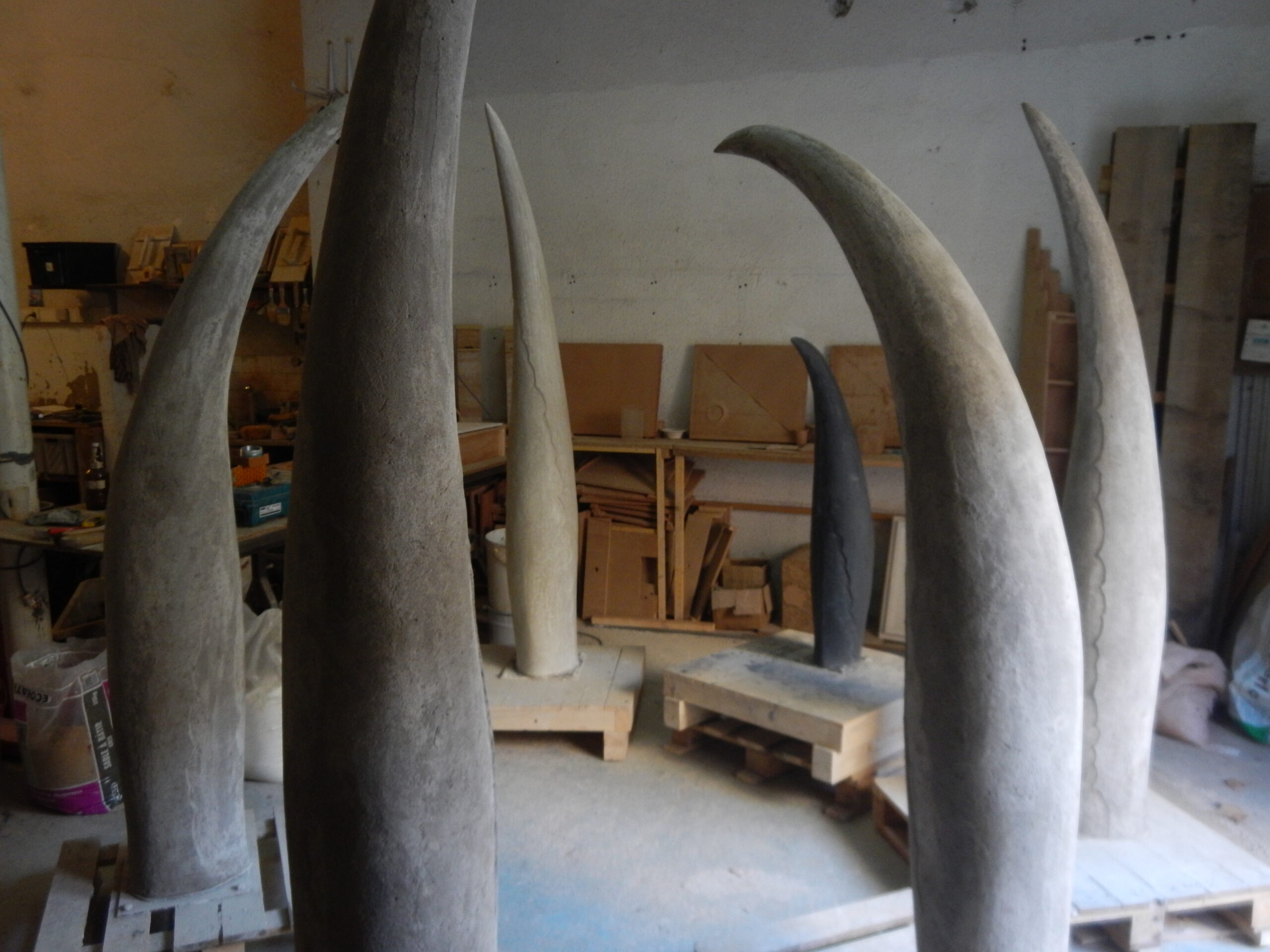 Epines – Marc Duran