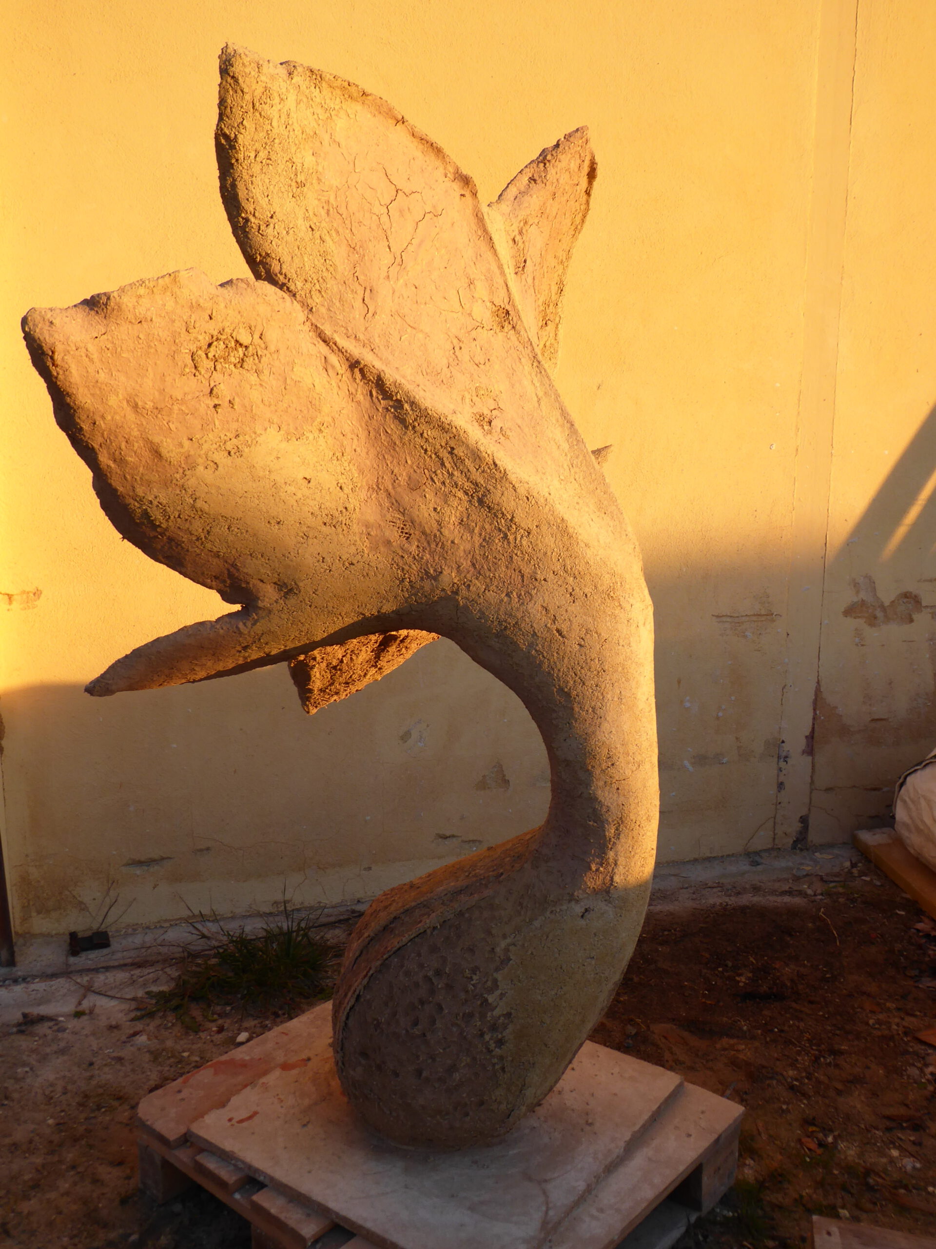 Le chuchotis des fleurs fossiles